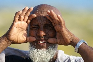 viel homme socotra